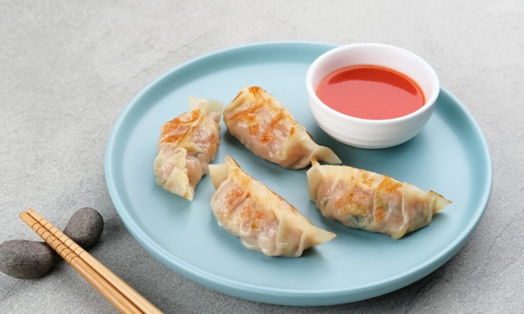 korean mandu in the plate with red chutney.