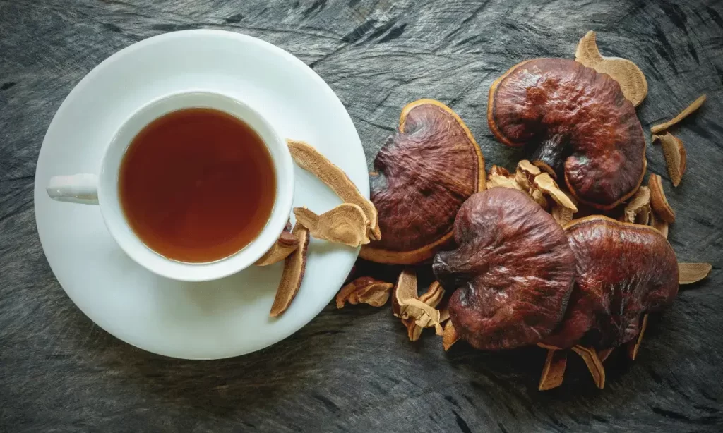 Mushroom Tea